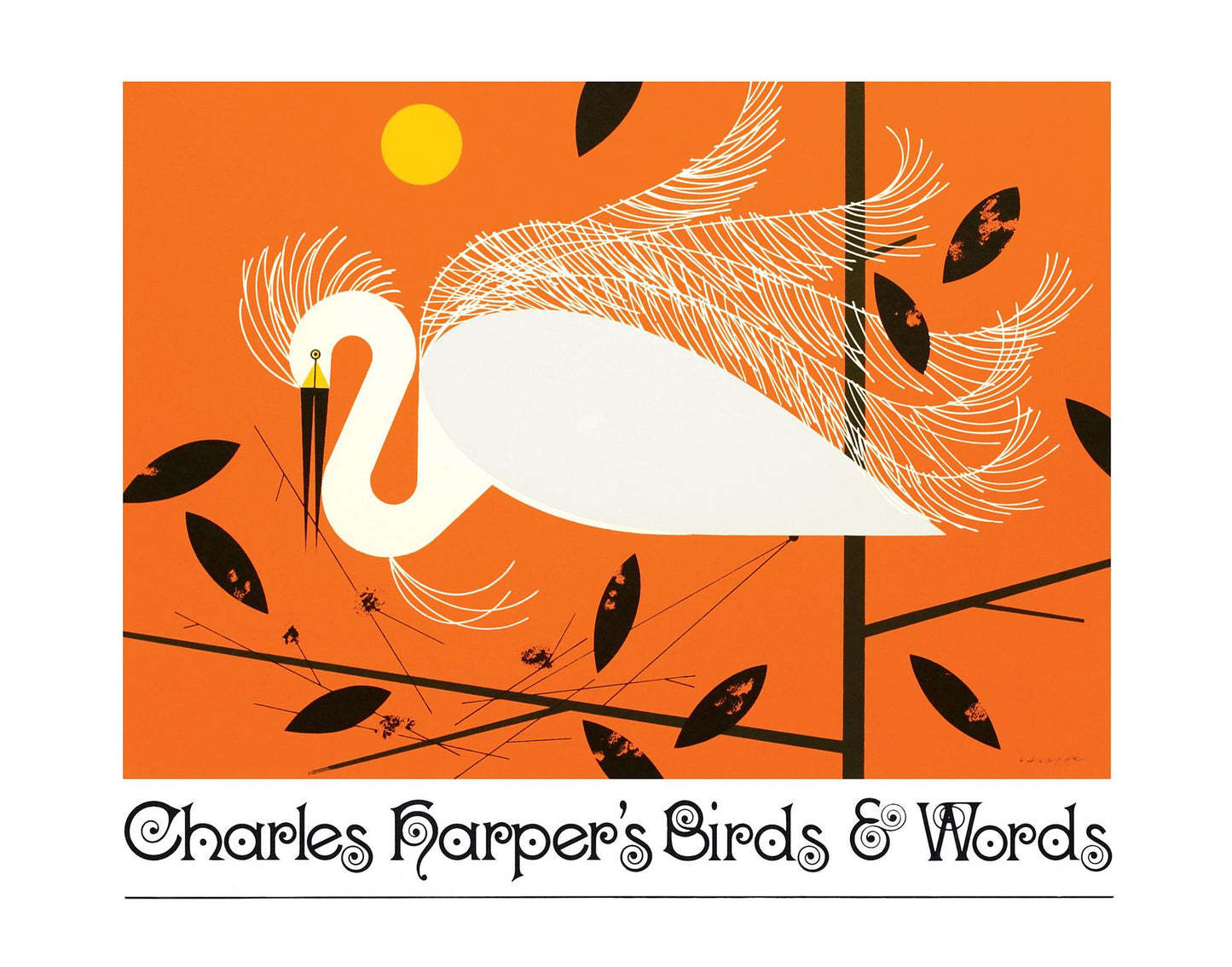 Charles Harper's Birds and Words (Anniversary Edition)