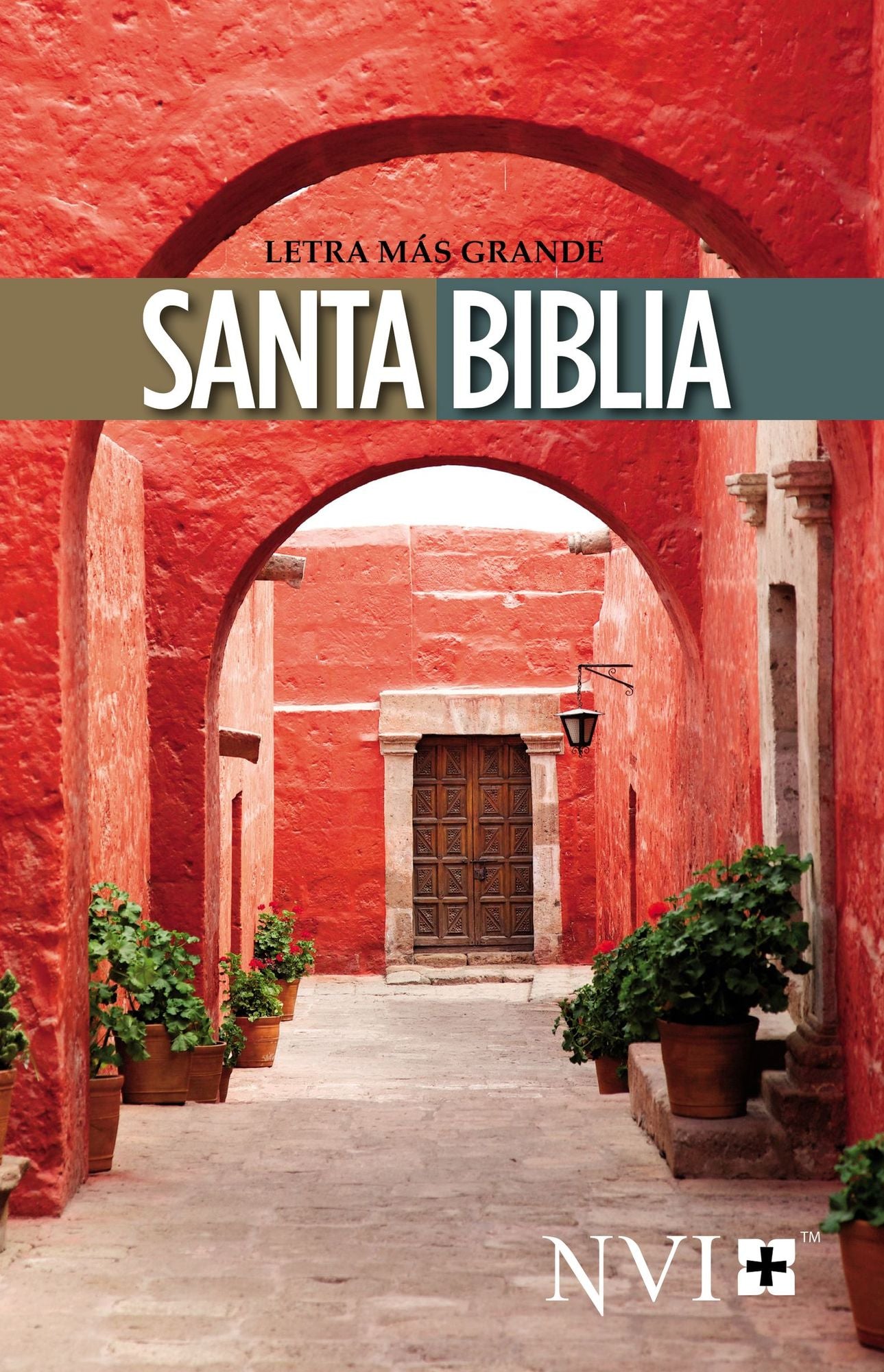 Santa Biblia-NVI