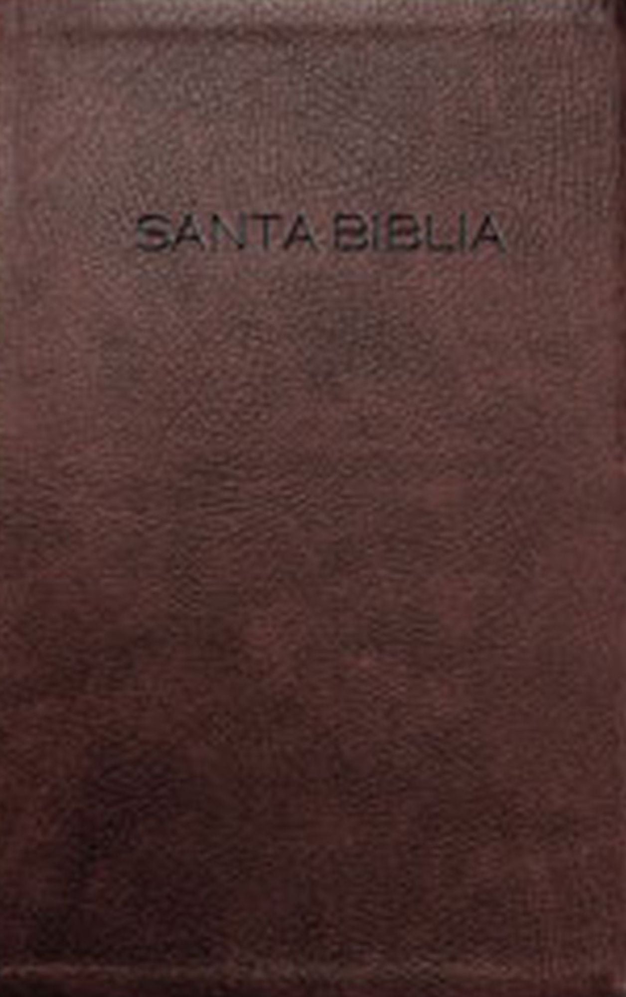 Biblia Para Regalo y Premio-NVI