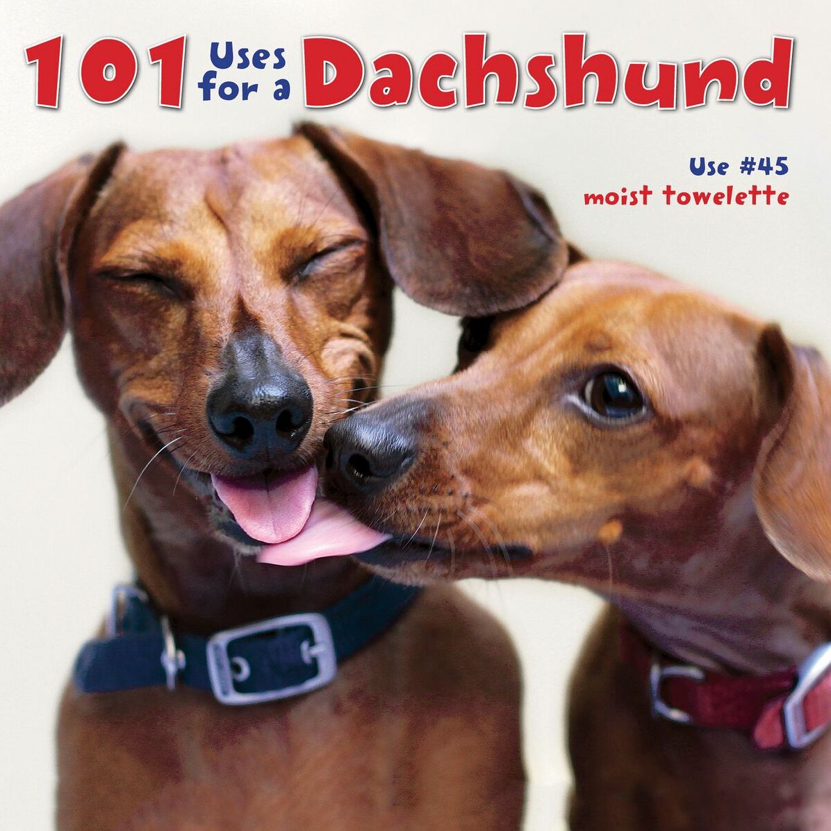 101 Uses for a Dachshund