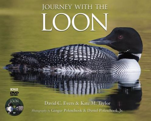 Journey With the Loon