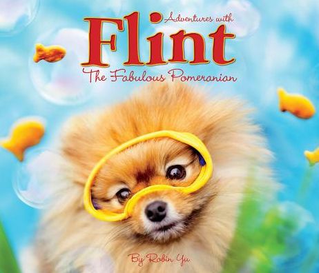 Flint the Fabulous Pomeranian