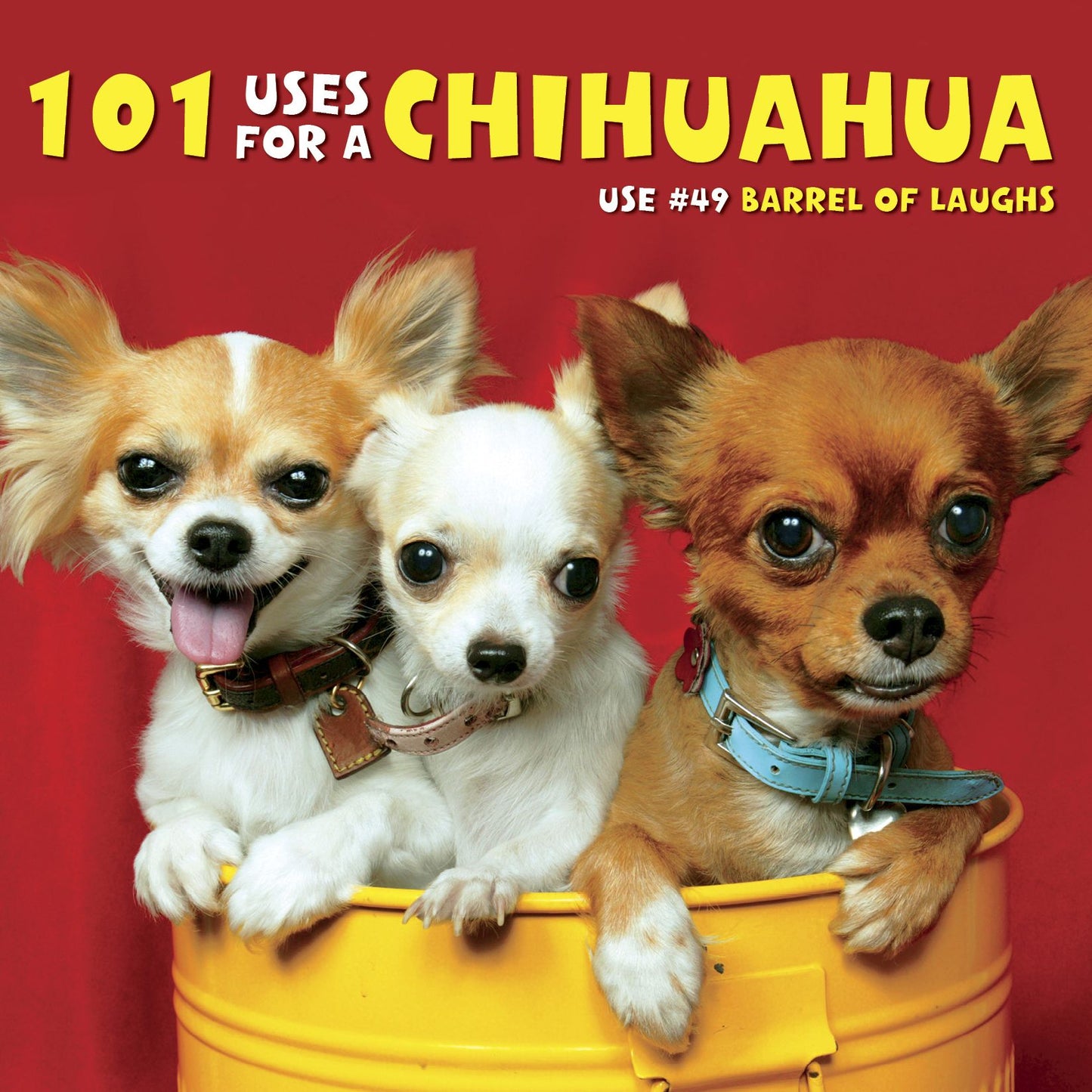 101 Uses For a Chihuahua