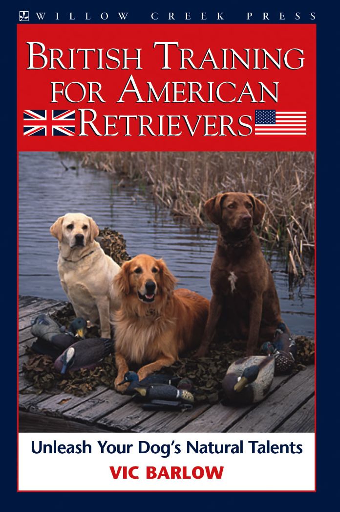 British Training for American Retrievers: Unleash Your Dog's Natural Talents