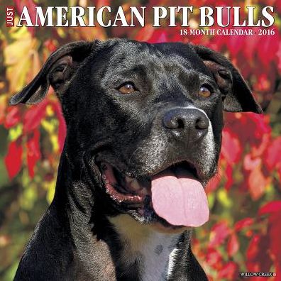 2016 American Pit Bull Terriers Wall Calendar