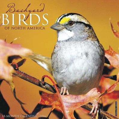 2016 Backyard Birds Wall Calendar