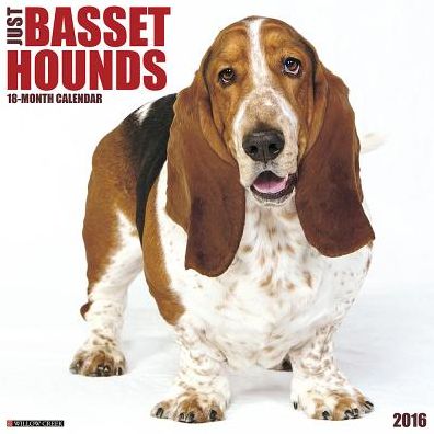 2016 Basset Hounds Wall Calendar