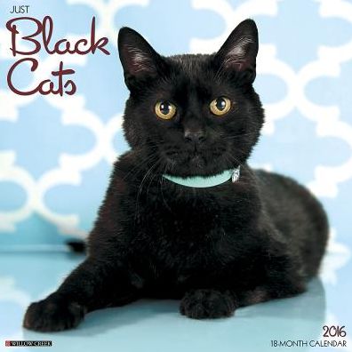 2016 Black Cats Wall Calendar