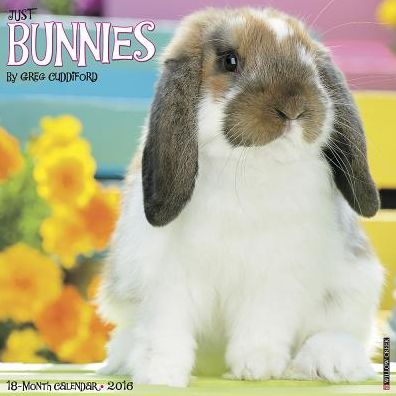 2016 Bunnies Wall Calendar