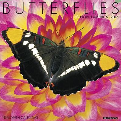 2016 Butterflies Wall Calendar