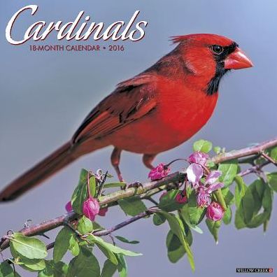 2016 Cardinals Wall Calendar