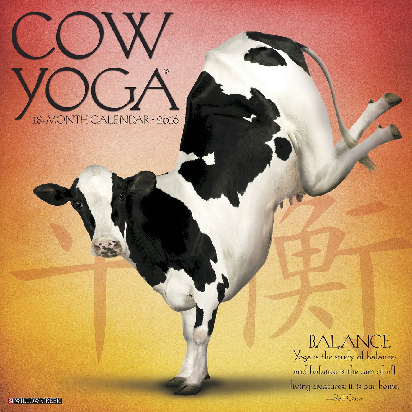 2016 Cow Yoga Wall Calendar