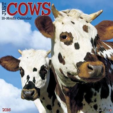 2016 Cows Wall Calendar