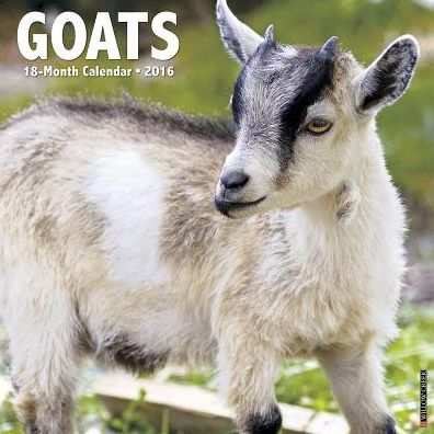 2016 Goats Wall Calendar