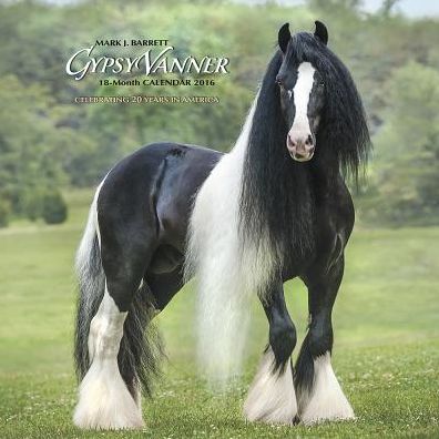 2016 Gypsy Vanner Horse Wall Calendar