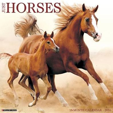 2016 Horses Wall Calendar