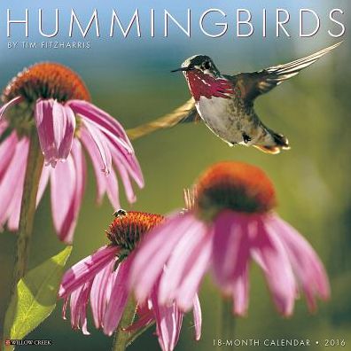 2016 Hummingbirds Wall Calendar