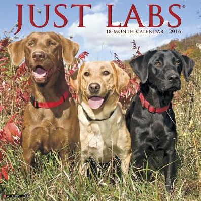 2016 Labs Wall Calendar
