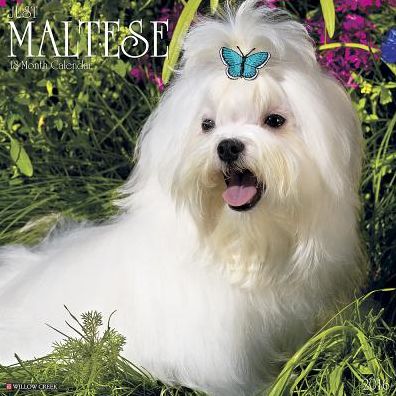 2016 Maltese Wall Calendar