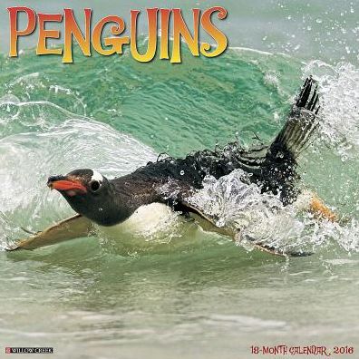 2016 Penguins Wall Calendar