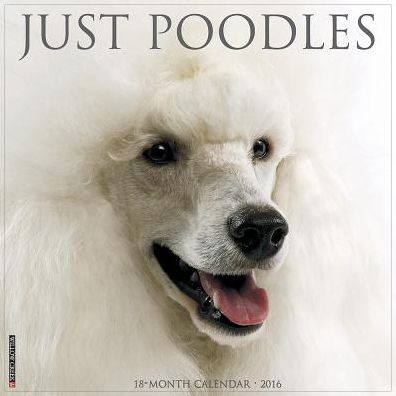 2016 Poodles Wall Calendar