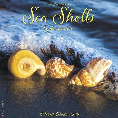 2016 Sea Shells Wall Calendar
