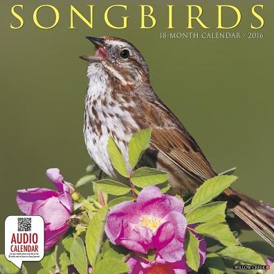 2016 Songbirds Wall Calendar