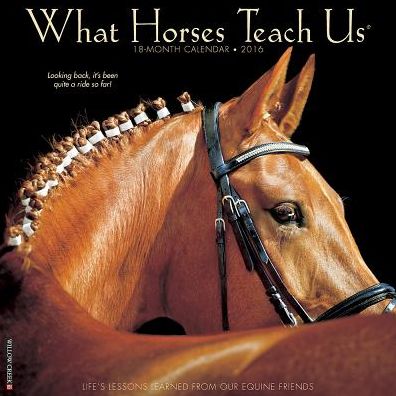 2016 What Horses Teach Us Wall Calendar