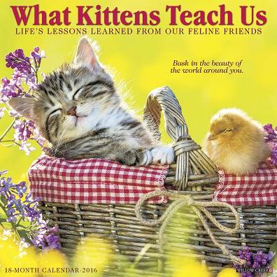 2016 What Kittens Teach Us Wall Calendar