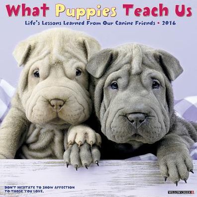 2016 What Puppies Teach Us Wall Calendar