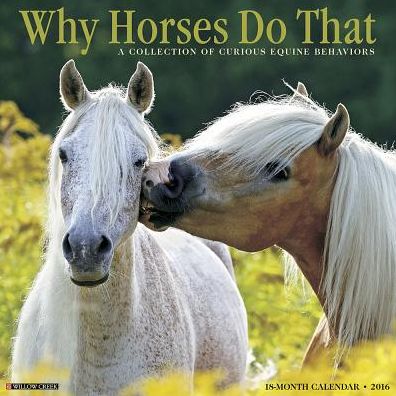 2016 Why Horses Do That Wall Calendar