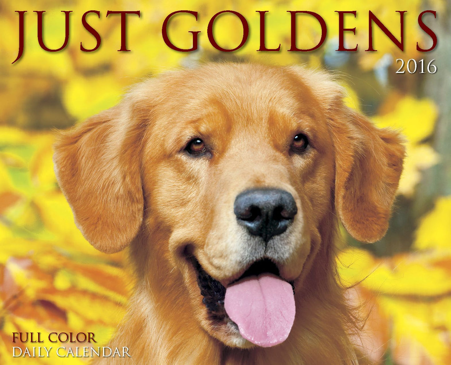 2016 Just Goldens Box Calendar