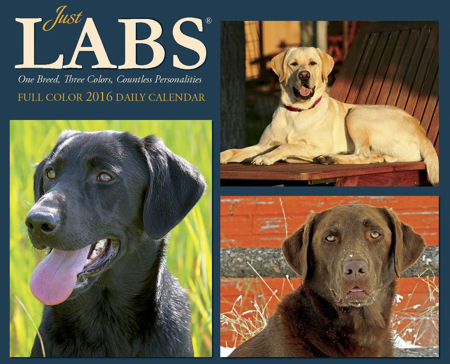 2016 Just Labs Box Calendar