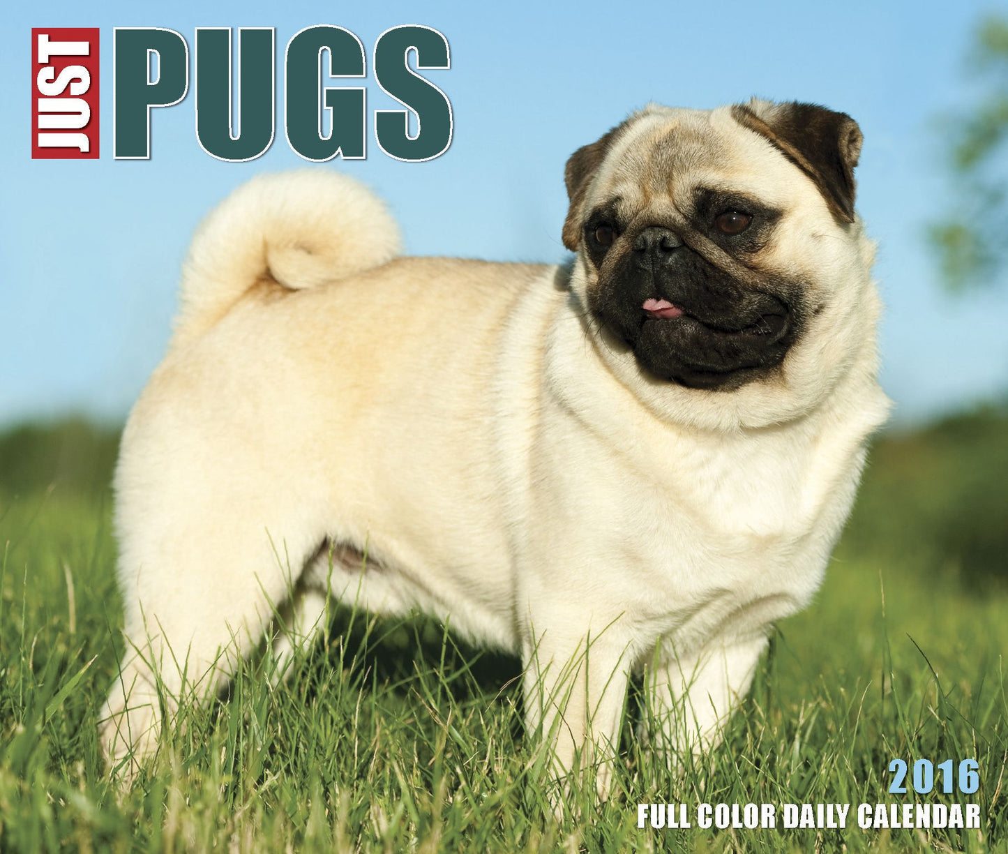 2016 Just Pugs Box Calendar
