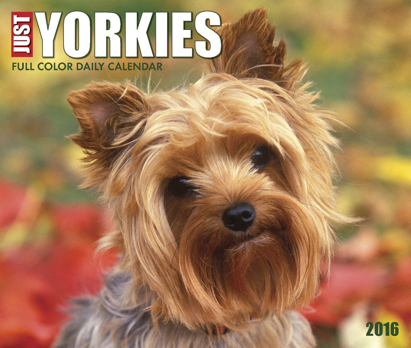 2016 Just Yorkies Box Calendar
