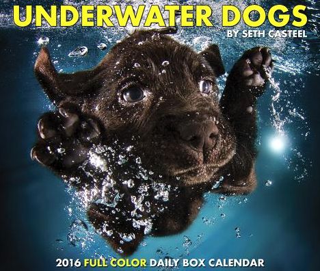 2016 Underwater Dogs Box Calendar