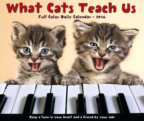 2016 What Cats Teach Us Box Calendar