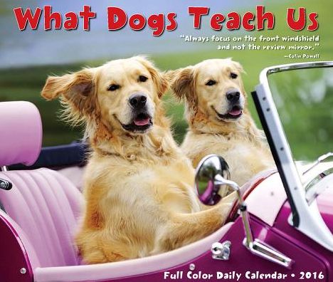 2016 What Dogs Teach Us Box Calendar