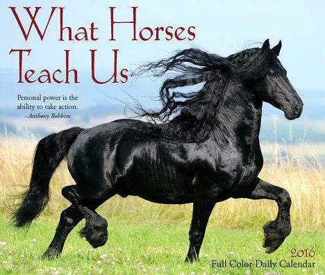 2016 What Horses Teach Us Box Calendar