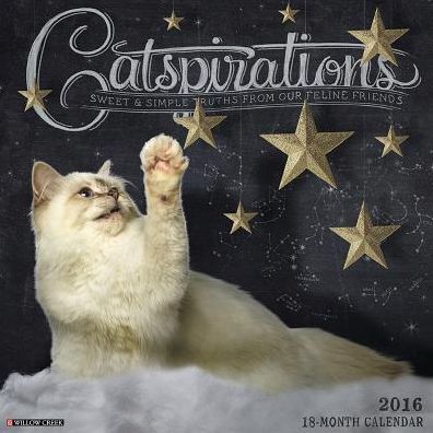 2016 Catspirations Wall Calendar