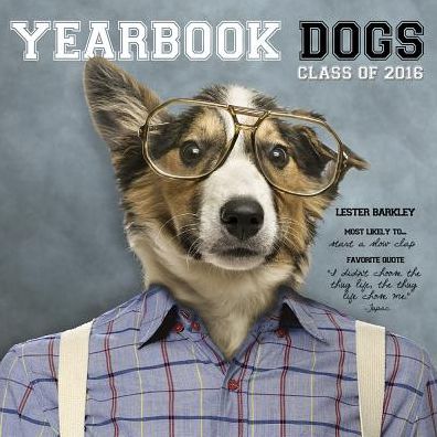 2016 Yearbook Dogs Wall Calendar