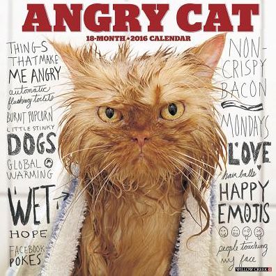2016 Angry Cat Wall Calendar