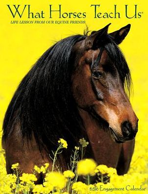 2016 What Horses Teach Us Engagement Calendar