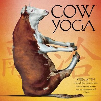 Cow Yoga