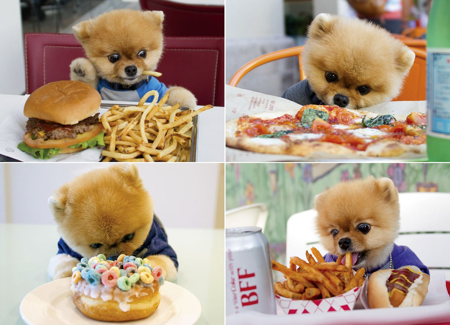 Jiffpom 1000-Piece Puzzle