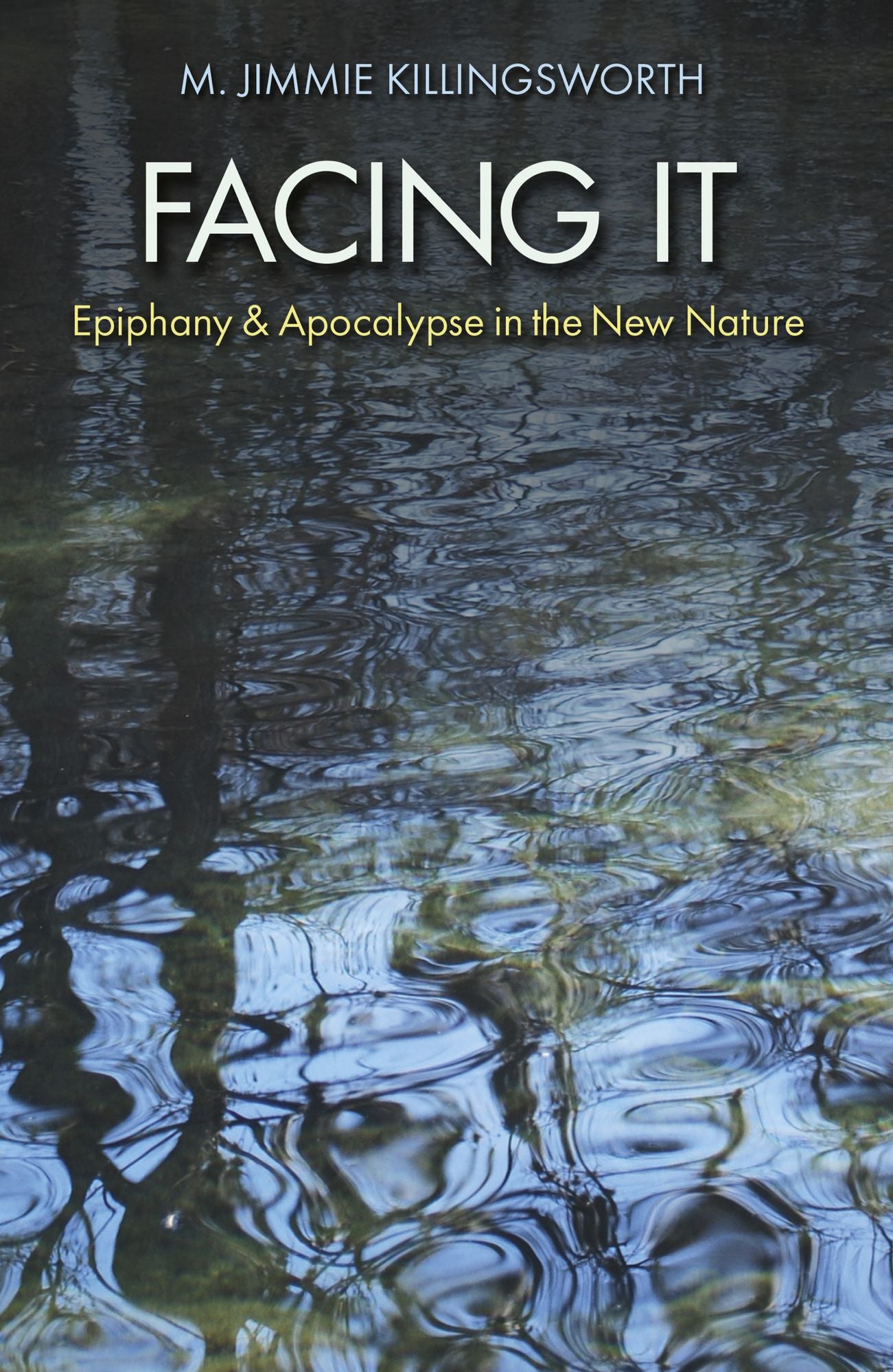 Facing It: Epiphany and Apocalypse in the New Nature