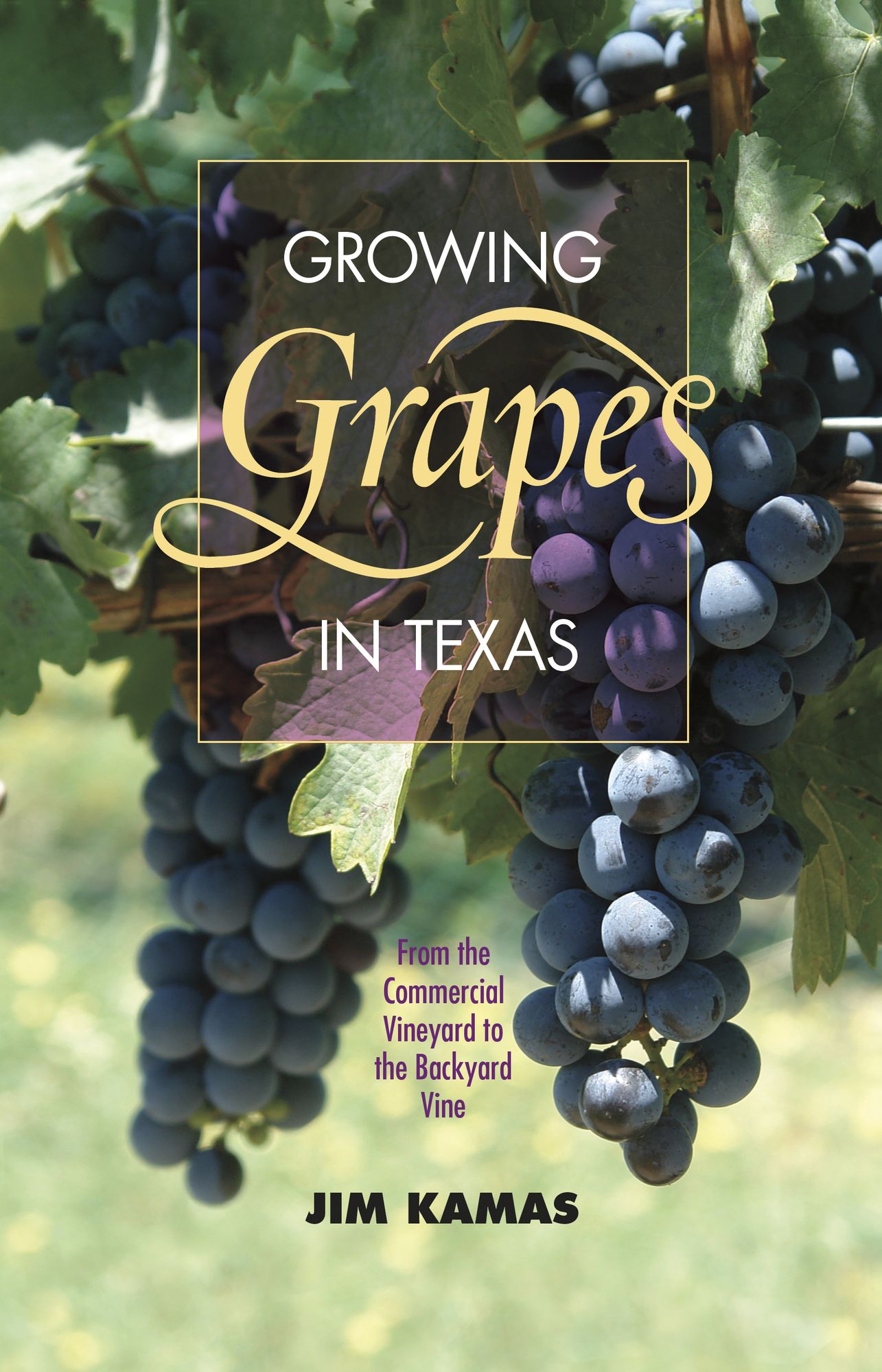Growing Grapes in Texas: From the Commercial Vineyard to the Backyard Vine