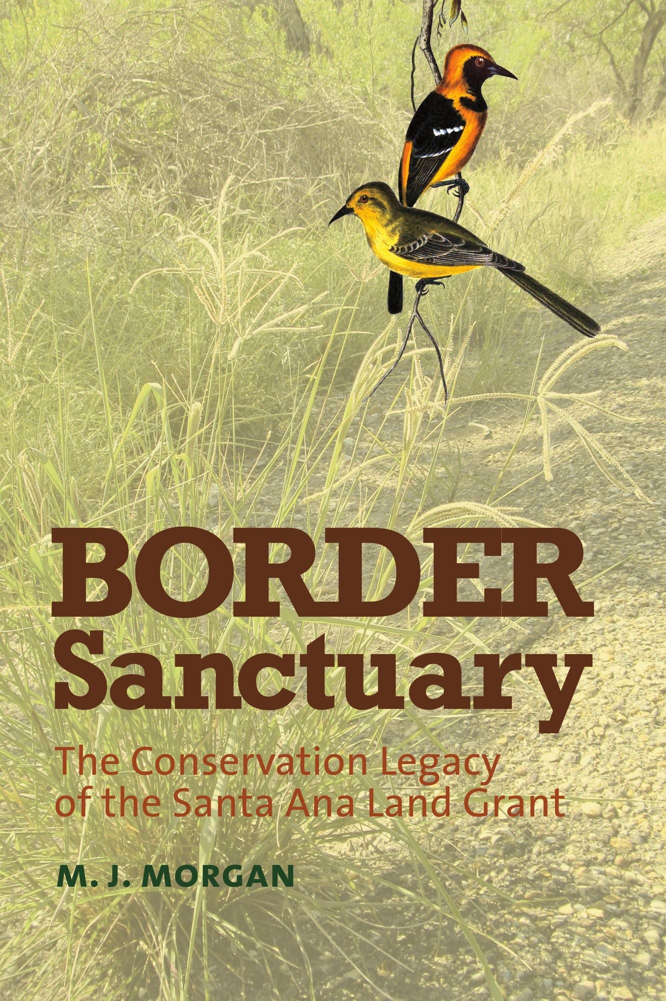 Border Sanctuary: The Conservation Legacy of the Santa Ana Land Grant