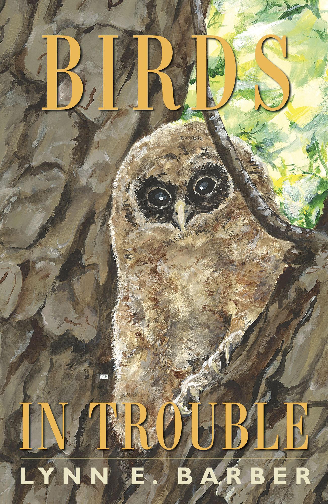 Birds in Trouble