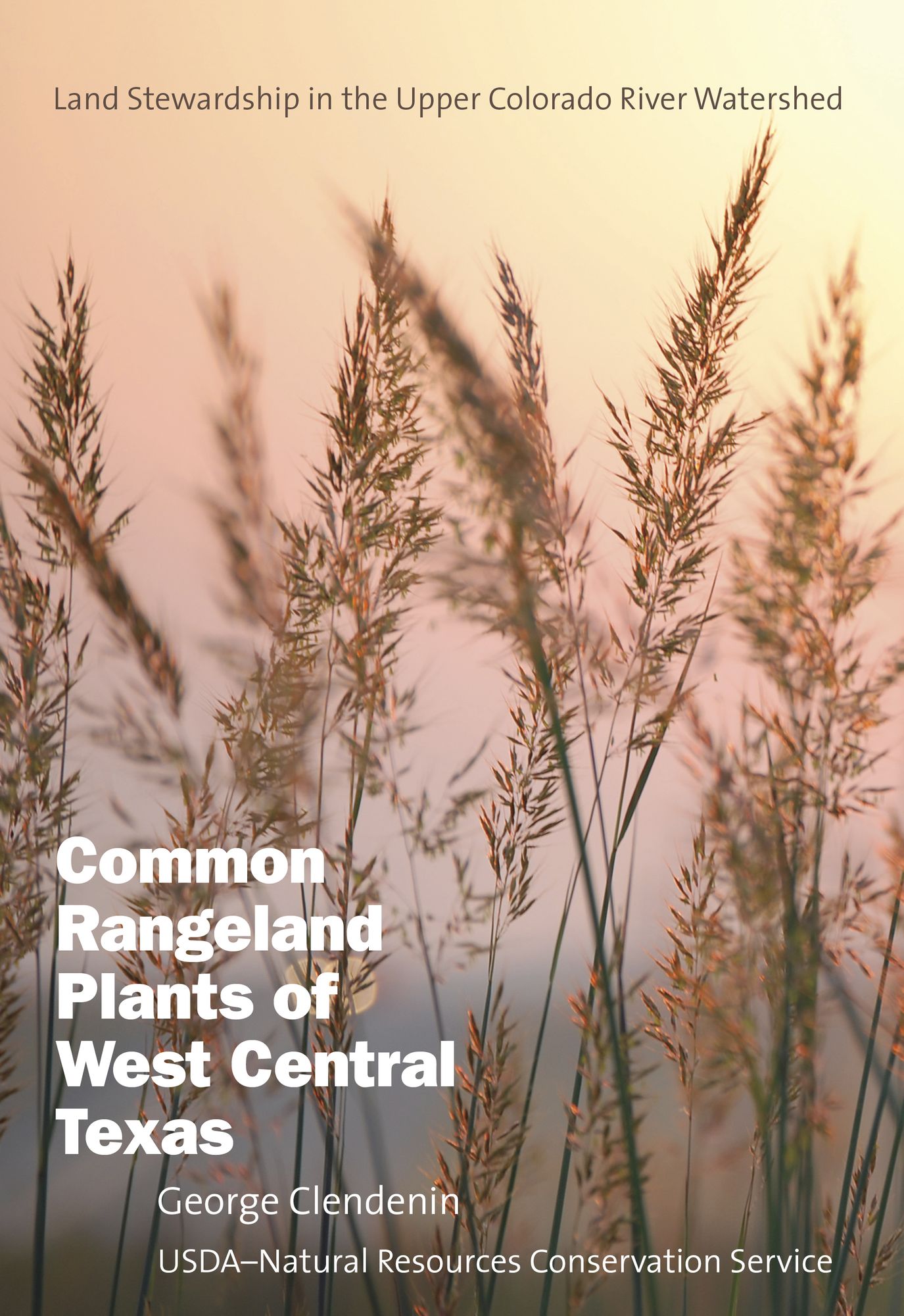 Common Rangeland Plants of West Central Texas